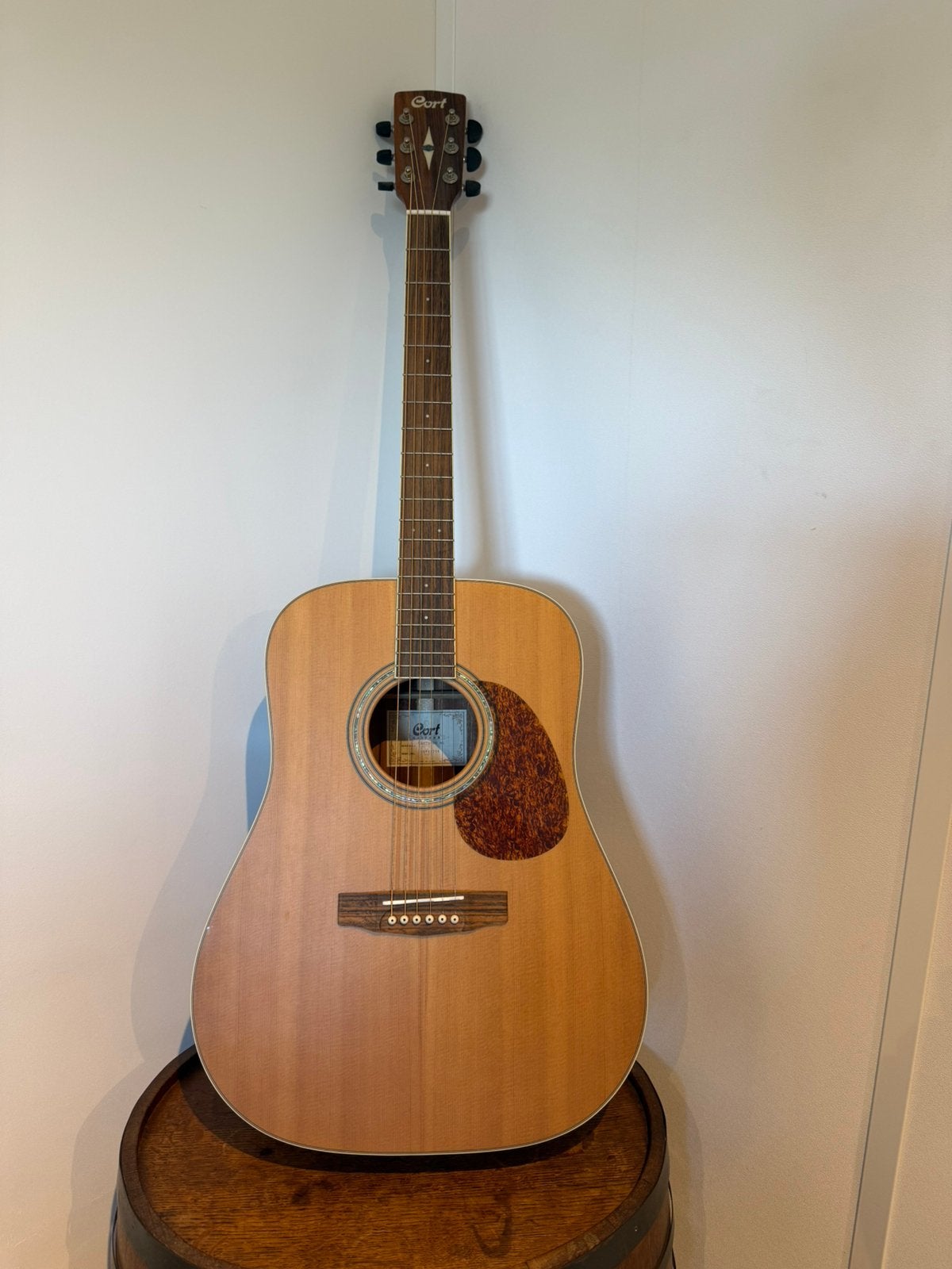 Prachtige Cort Earth100 NS Akoestische Gitaar, Ophalen of Verzenden, Zo goed als nieuw, Western- of Steelstringgitaar