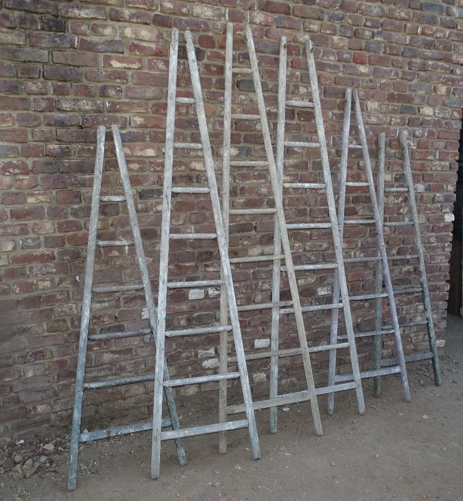 partij echte franse ladders plukladder trap, Ophalen