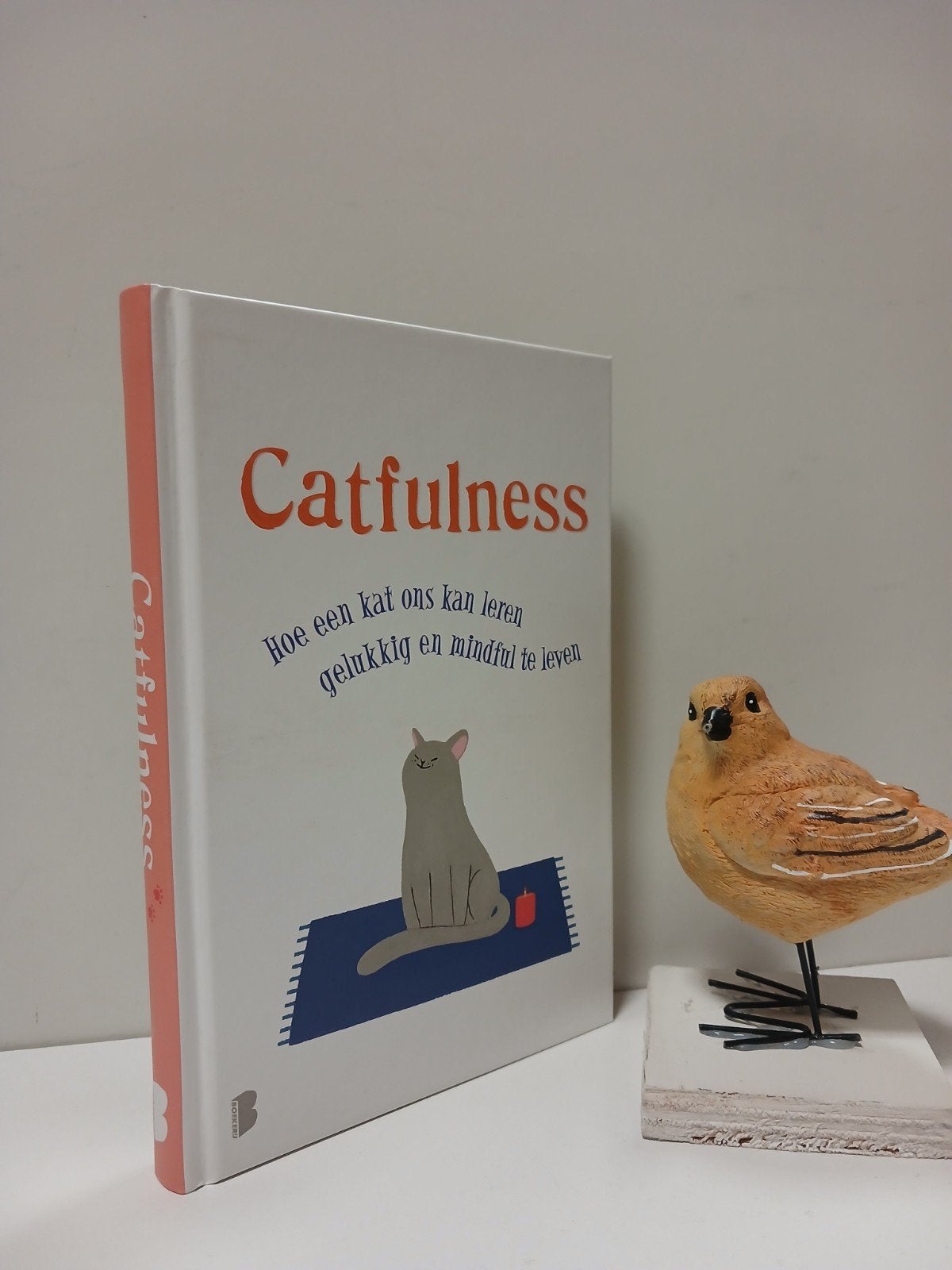 Valentino, Paolo; Catfulness, Ophalen of Verzenden, Gelezen