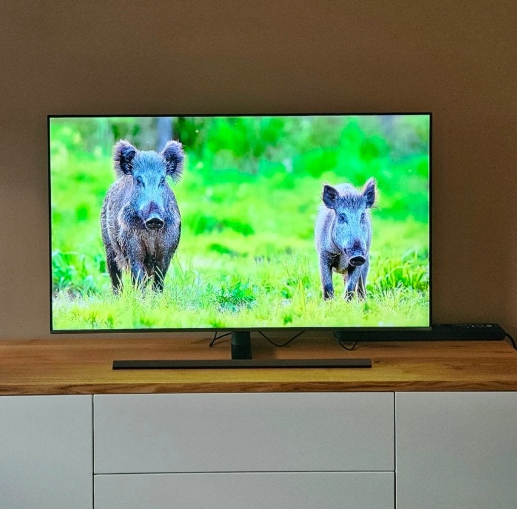 Samsung QLED TV 55 inch - Tizen OS, Premium UHD TV, 50 Hz, Ophalen of Verzenden, Samsung, 100 cm of meer