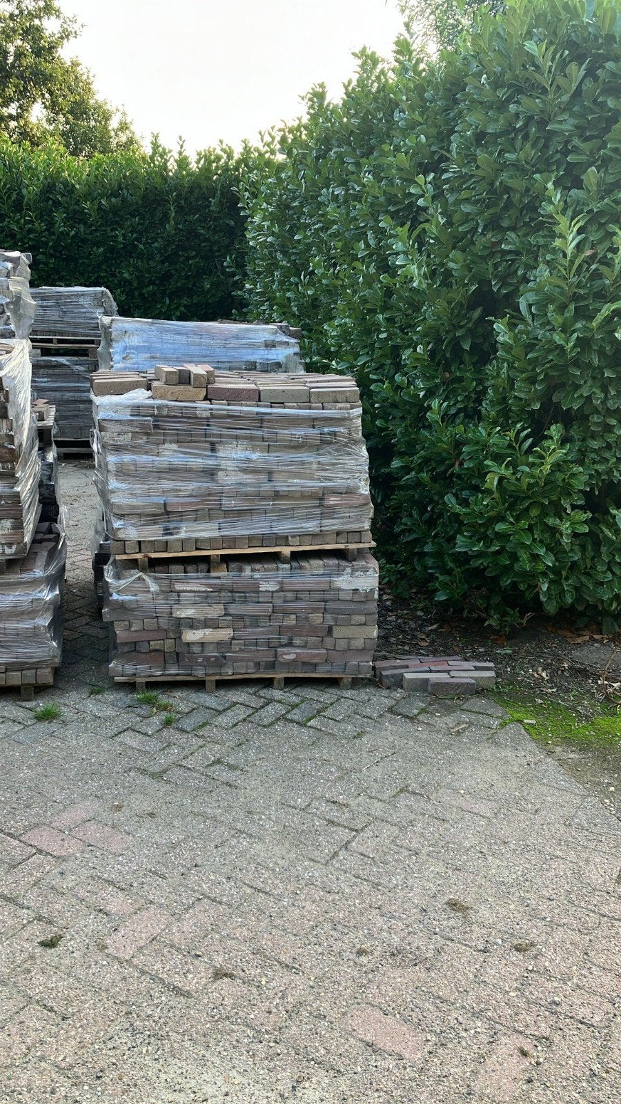 ✅️🧱HELE MOOIE WAALTJES. GEMÊLEERDE KLEUREN, Ophalen of Verzenden, Beton, Klinkers