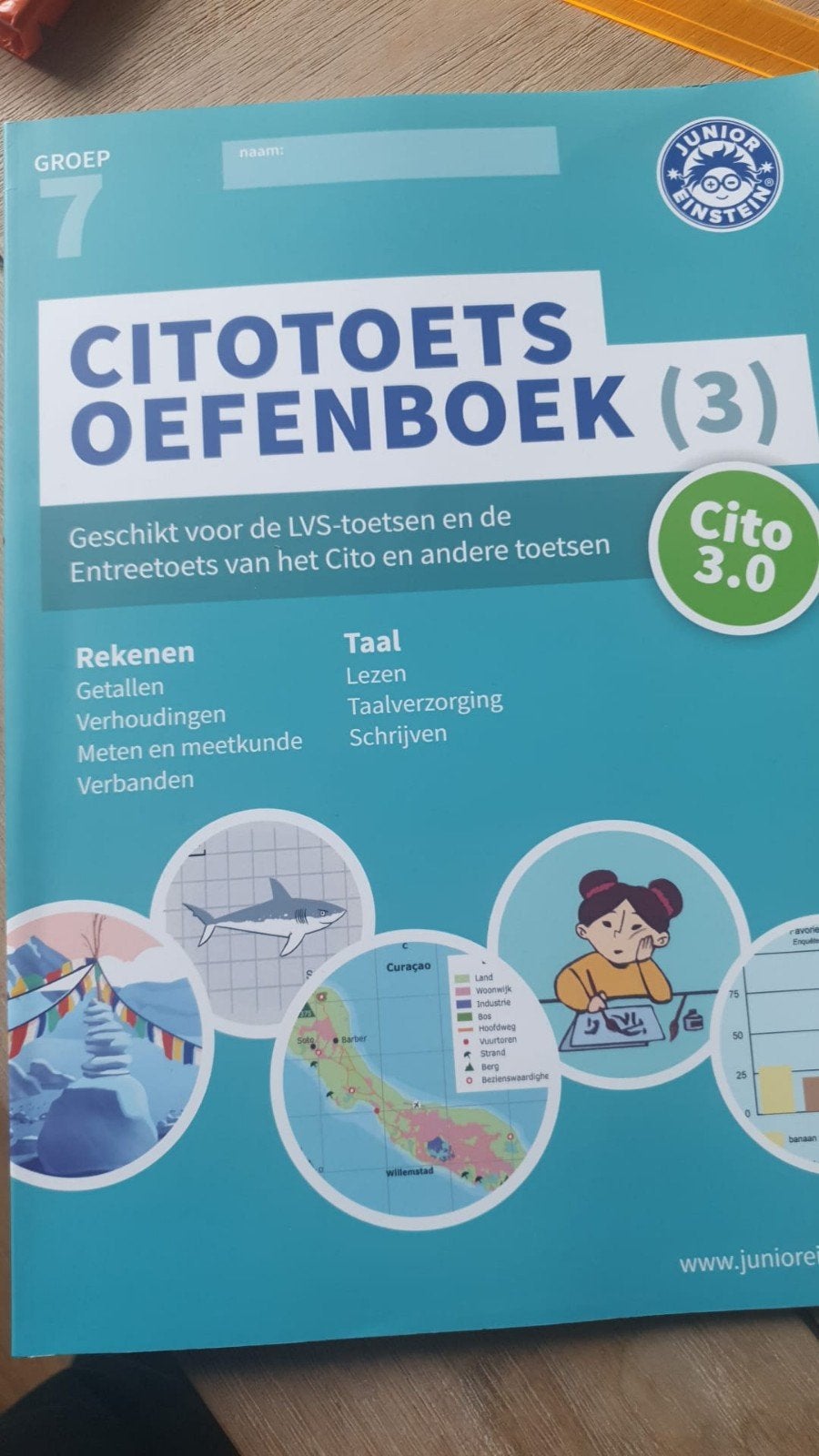 Cito Toets Oefenboek Groep 7 - Junior Einstein, Boeken, Schoolboeken, Zo goed als nieuw, Nederlands, Overige niveaus, Ophalen of Verzenden