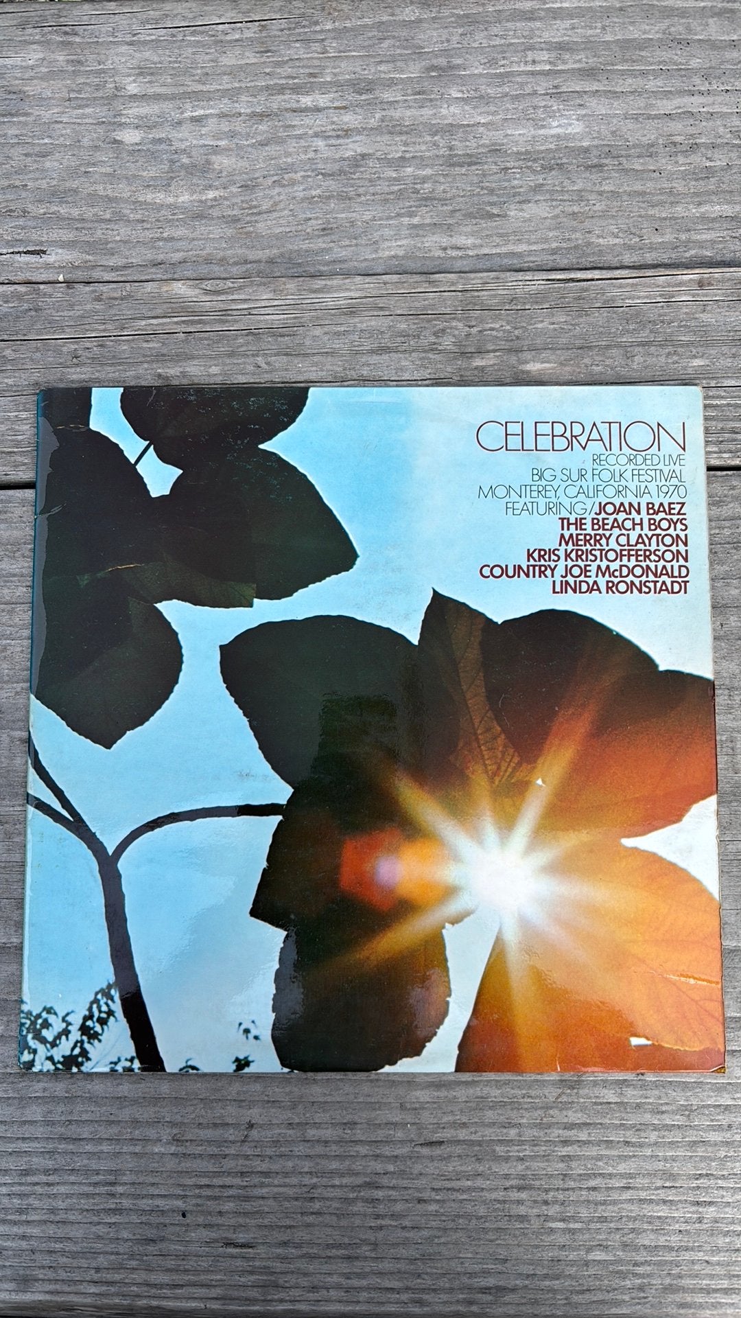 LIVE Big Sur Folk Festival 1970, Ophalen of Verzenden, Zo goed als nieuw