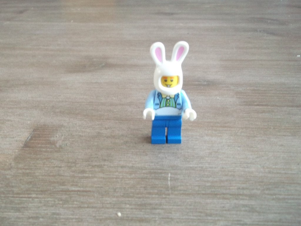 lego hol 116 easter bunny guy (2018), Kinderen en Baby's, Speelgoed | Duplo en Lego, Ophalen of Verzenden, Gebruikt, Complete set