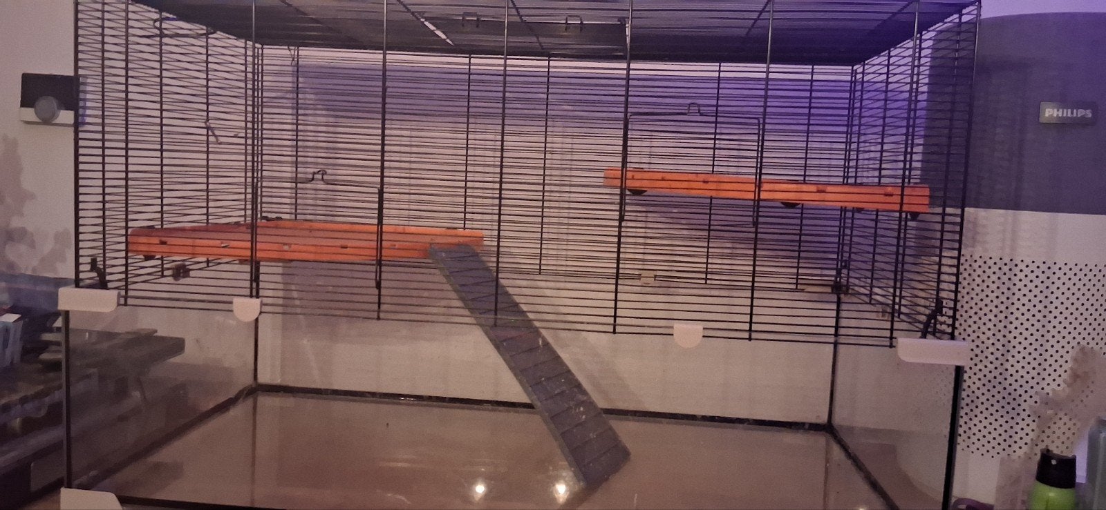 kooi hamster muis rat, Kooi, Minder dan 75 cm, Muis, Ophalen
