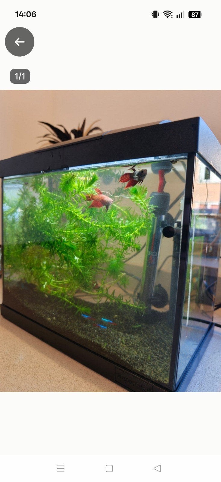 Aquarium Aquafish, Dieren en Toebehoren, Vissen | Aquaria en Toebehoren, Ophalen, Zo goed als nieuw, Leeg aquarium