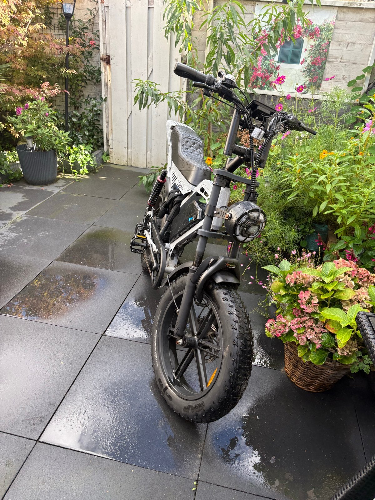 Mooie s20 pro fatbike, Gebruikt, Minder dan 47 cm, 50 km per accu of meer, Ophalen