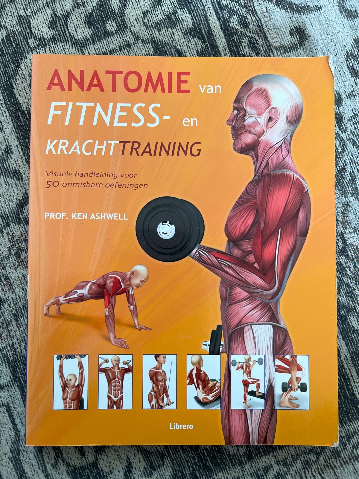 Anatomie van Fitness- en Krachttraining - Prof. Ken Ashwell, Ophalen of Verzenden, Gelezen, Gezondheid en Conditie