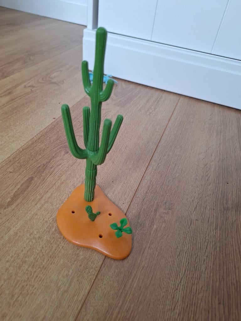 Playmobil cactus, Ophalen, Jongen of Meisje