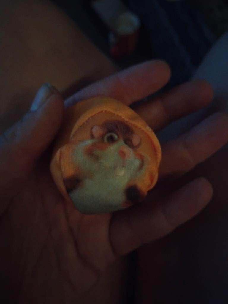 Knuffel, Dieren en Toebehoren, Hagedis, 0 tot 2 jaar