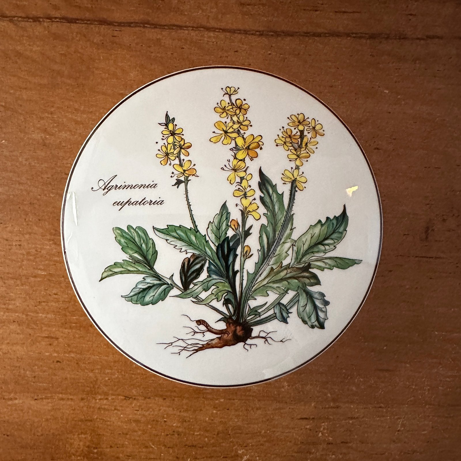 Villeroy & Boch Botanica Agrimonia Eupatoria Doosje, Ophalen of Verzenden