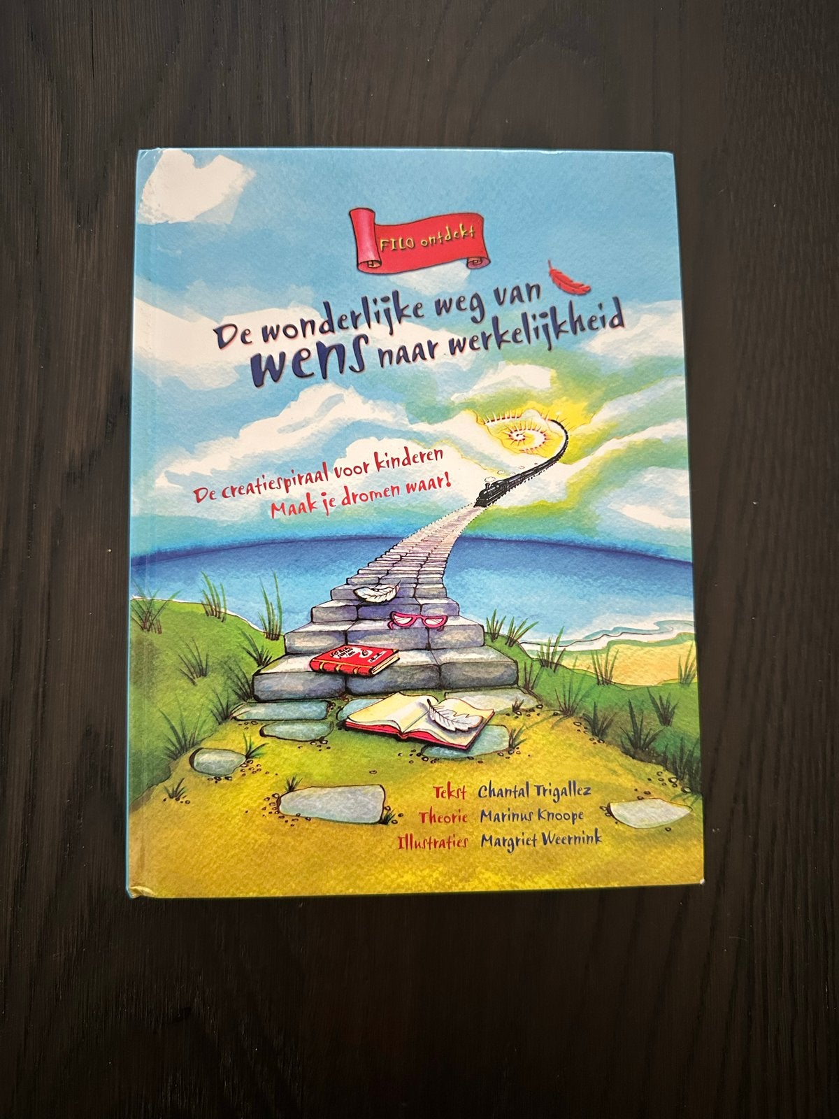 Filo ontdekt: De wonderlijke weg van wens naar werkelijkheid, Boeken, Ophalen of Verzenden, Zo goed als nieuw, Non-fictie