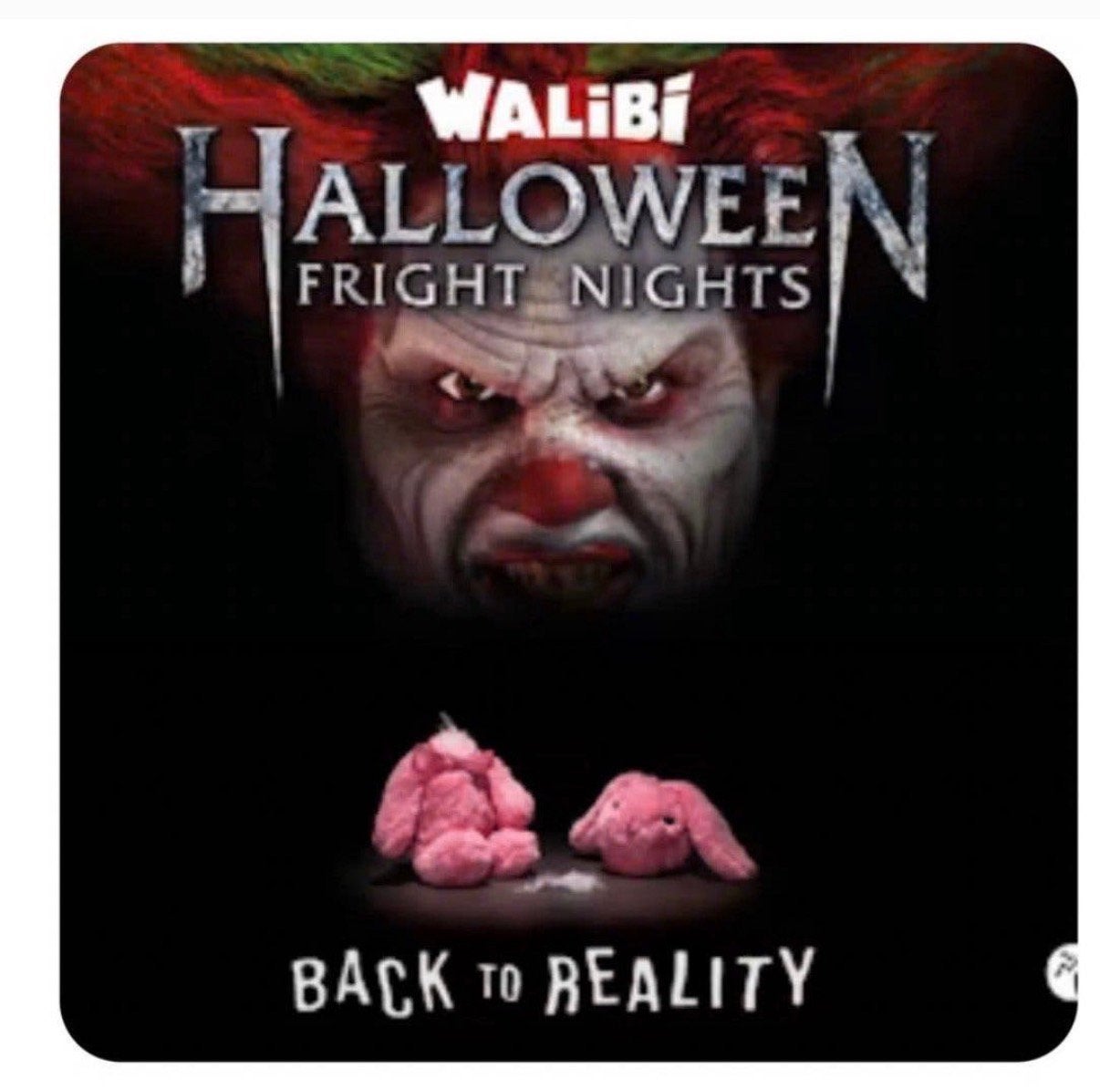 25/10, Walibi Holland Halloween Fright Nights, Eén persoon, Ticket of Toegangskaart