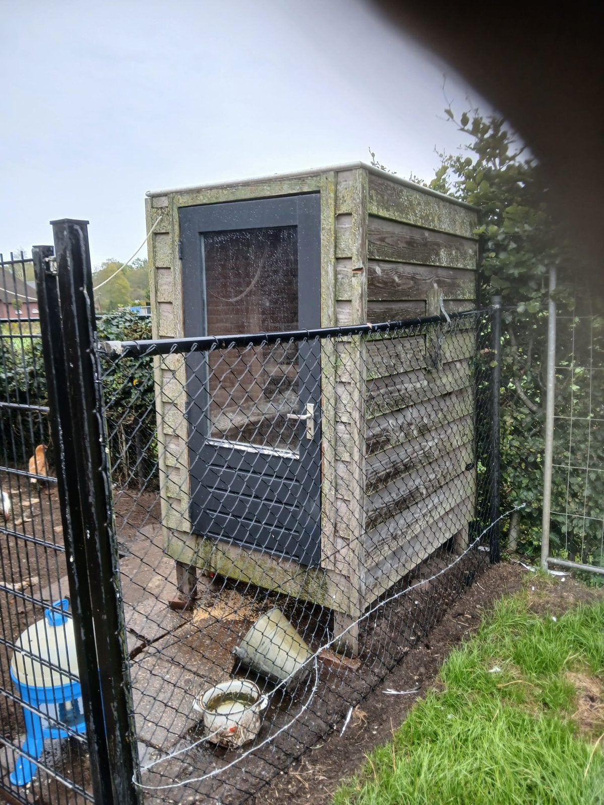 Kippenhok, Dieren en Toebehoren, Kip