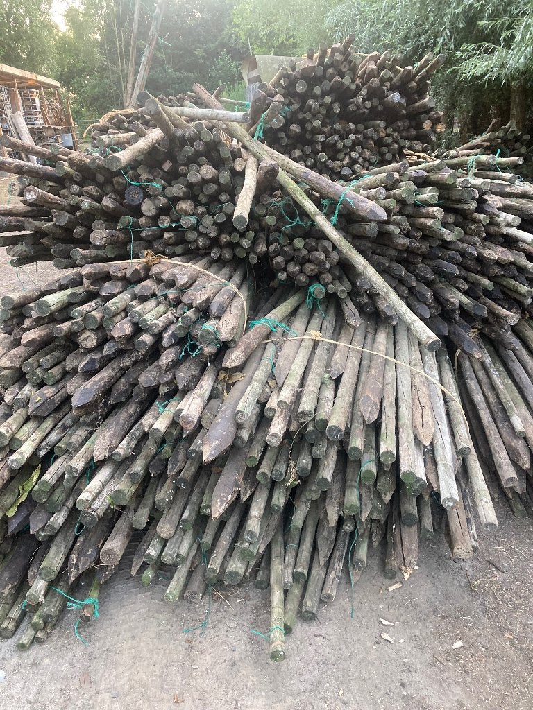Boompalen Rikkepalen afrastering palen 50 stuks, Ophalen, Gebruikt, 250 cm of meer, Palen