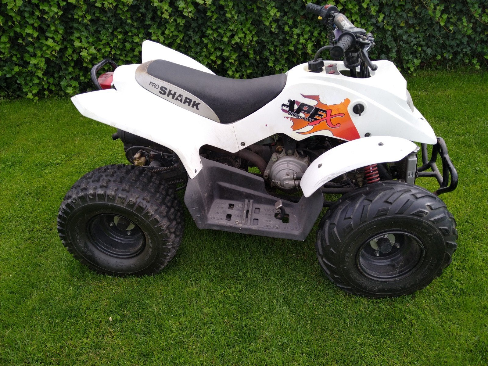 Apex quad shark 100cc kinderquad, Fietsen en Brommers, Minibikes, Midibikes en Pitbikes, Ophalen of Verzenden, 100 cc