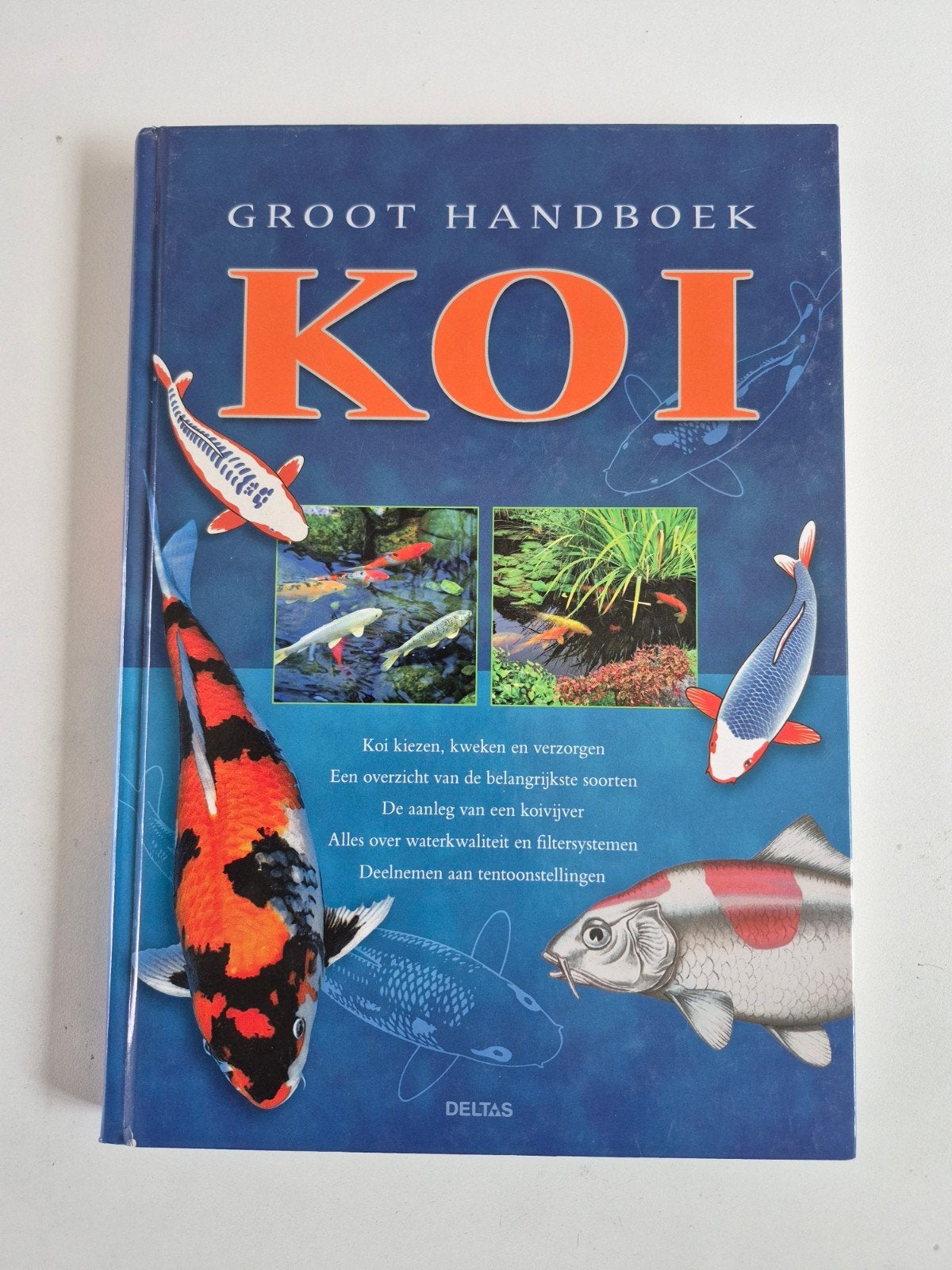 Groot Handboek Koi - Alles over Koi vissen, Ophalen of Verzenden, Zo goed als nieuw, Overige onderwerpen, Onbekend