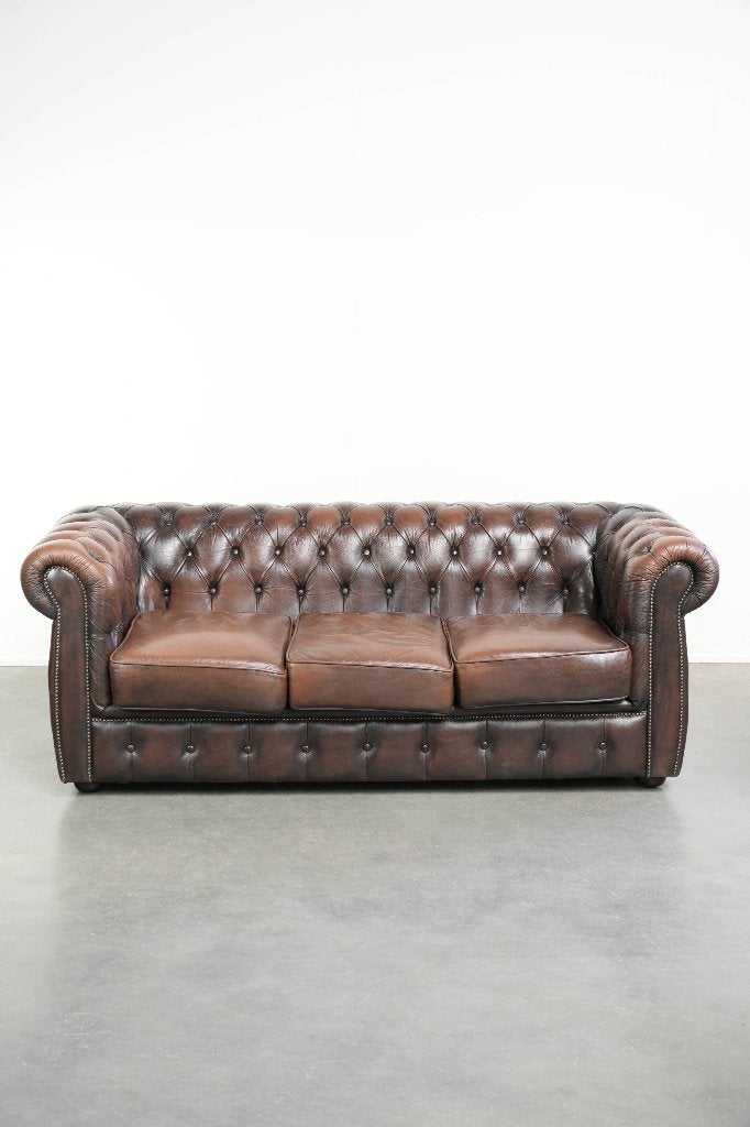 Bruine rundleren chesterfield 3 zits bank in Engelse stijl, Ophalen, Gebruikt, ., 150 tot 200 cm