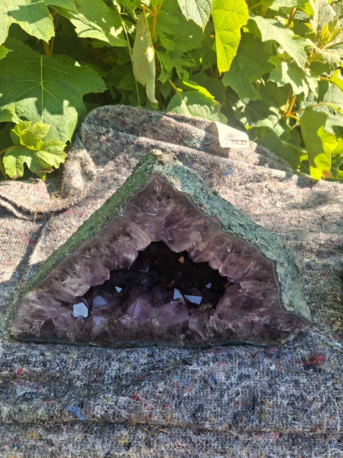 Grote onbewerkte Amethist Geode - Bijna 12 kg, Verzamelen, Ophalen of Verzenden