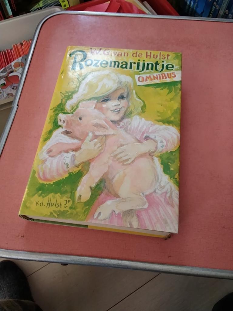 W.g van de hulst rozemarijntje omnibus € 5, Boeken, Ophalen of Verzenden, Gelezen