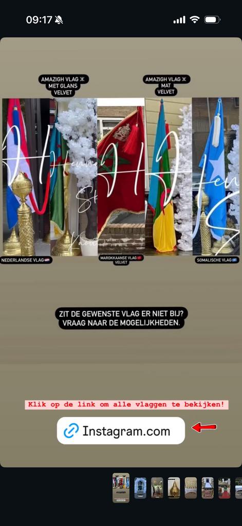 Vlaggen met houder, Ophalen of Verzenden, Zo goed als nieuw, Overige typen