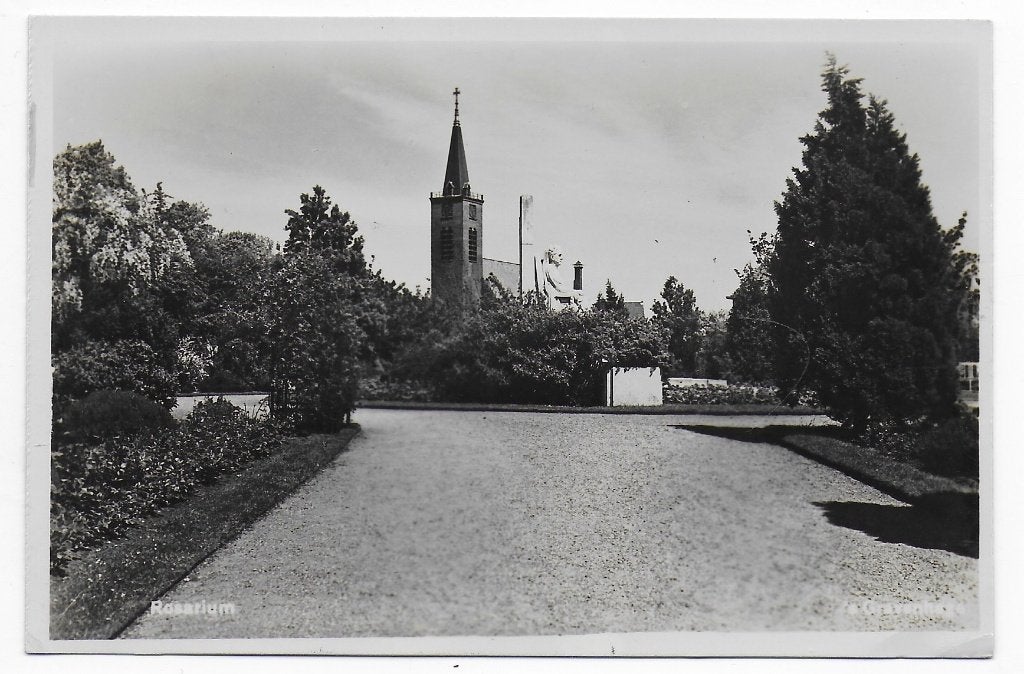's Gravenhage Rosarium Ongelopen Ansichtkaart ( B6883 ), Ophalen of Verzenden, 1960 tot 1980, Ongelopen, Zuid-Holland