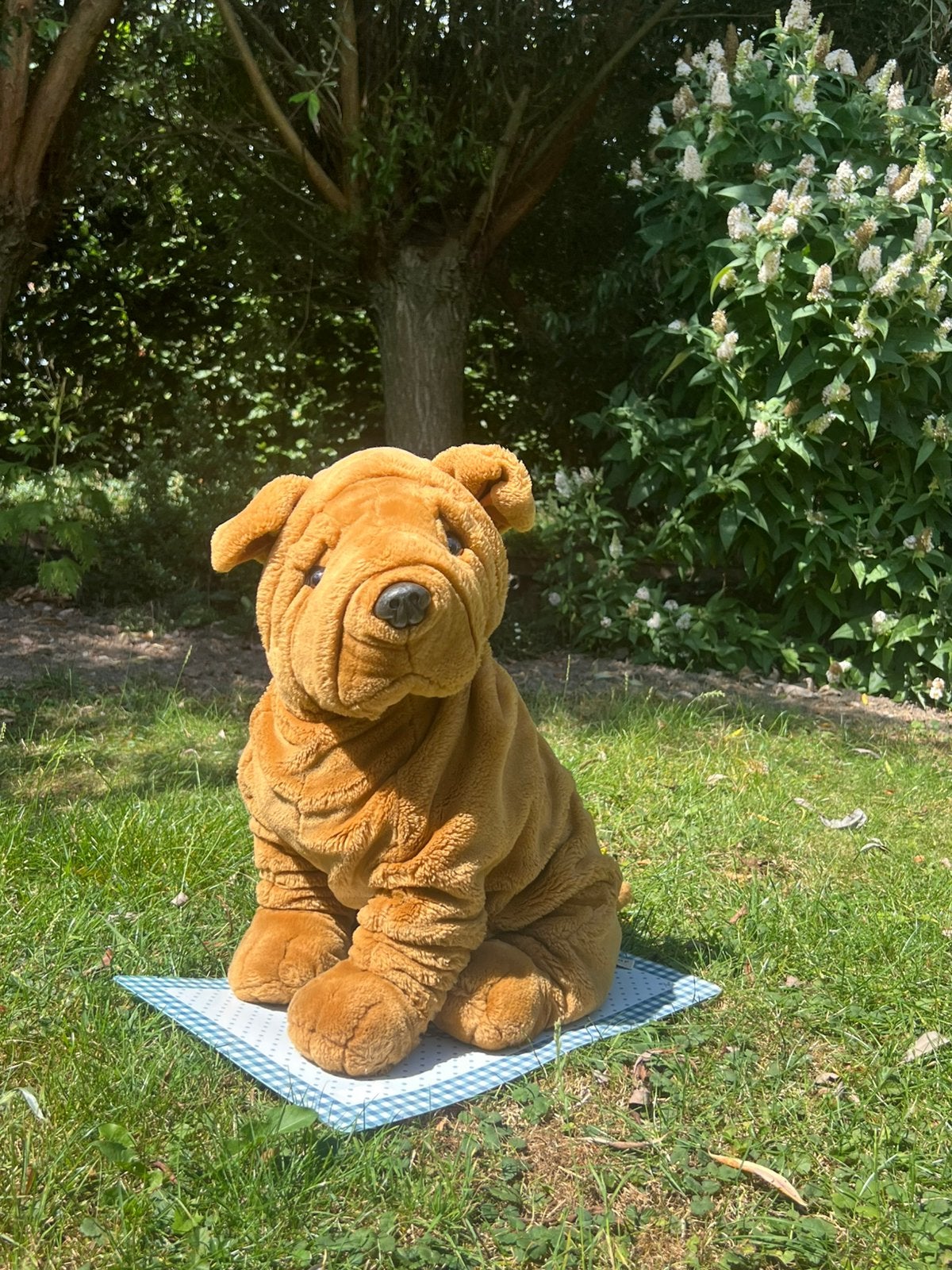 Zgan knuffelhond Shar Pei van de Bijenkorf 45cm groot, Ophalen of Verzenden, Zo goed als nieuw, Overige typen