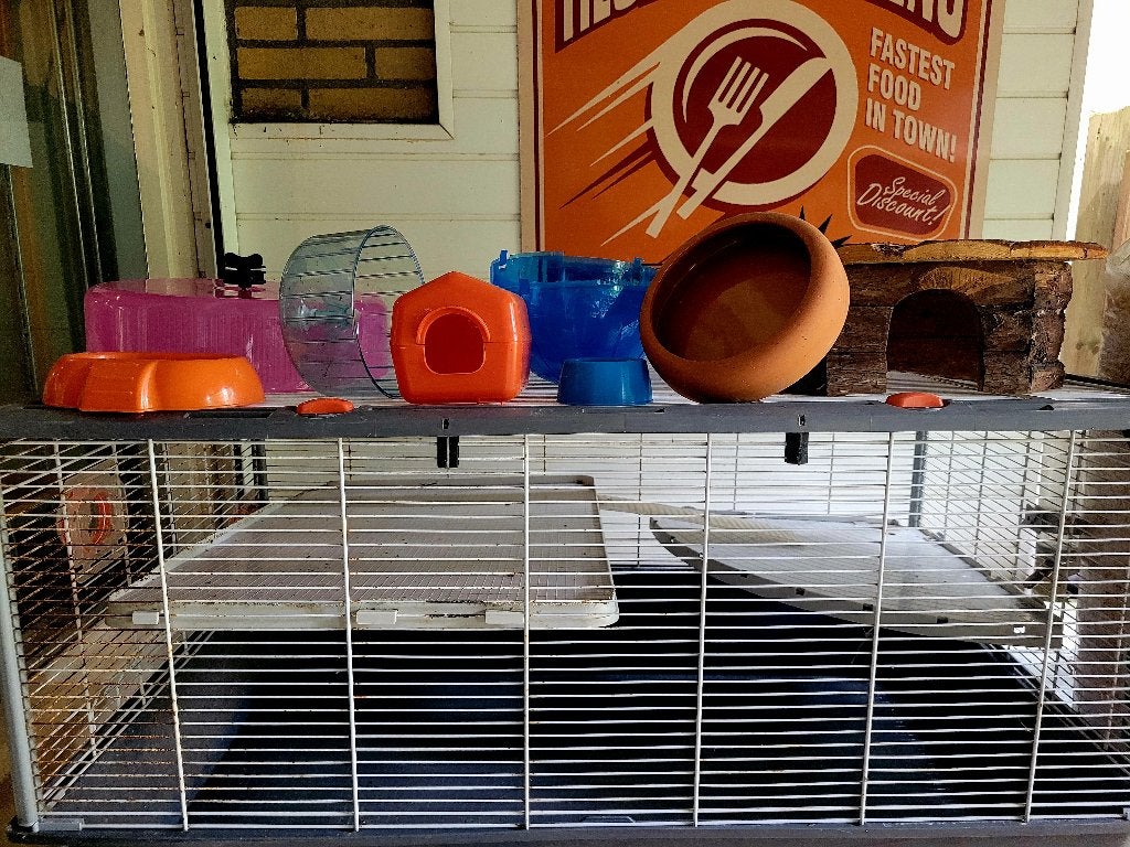 Hamsterkooi 94x56x51 + veel accessoires en zaagsel, Dieren en Toebehoren, Knaagdieren en Konijnen | Hokken en Kooien, Kooi, Gebruikt
