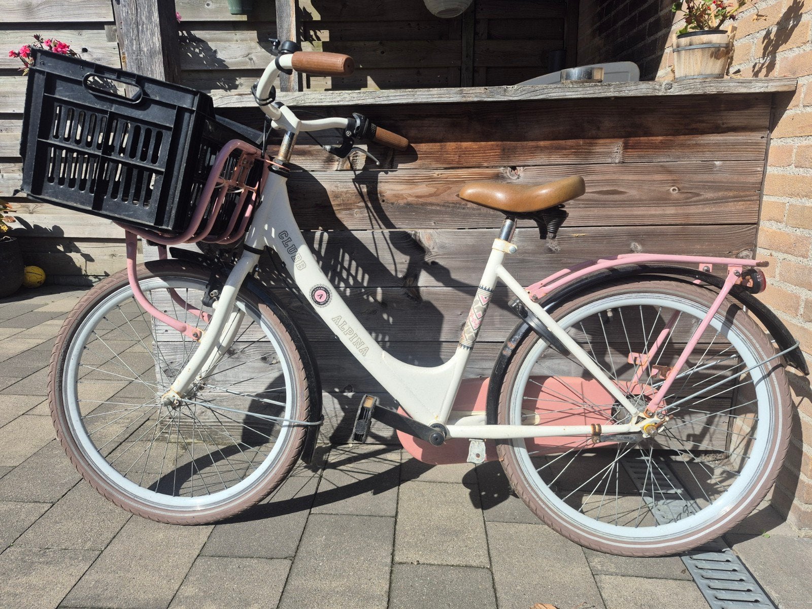 meisjesfiets 22inch, Ophalen, Terugtraprem, 22 inch, Gebruikt