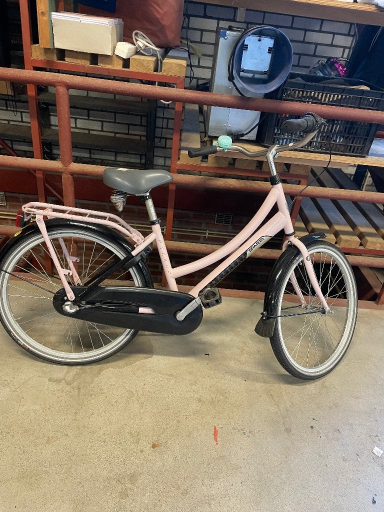 Partij kinder en jeugd fietsen, Zwiep Fietsen, 7573GN, 20 inch, Ophalen