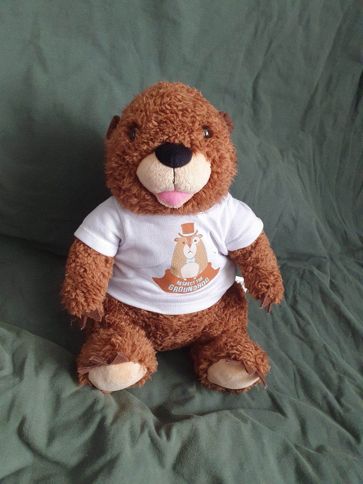 USA Build A Bear Workshop Groundhog Gopher Wood Chuck, Overige karakters, Overige typen, Zo goed als nieuw, Middelgroot (20 tot 80 cm)