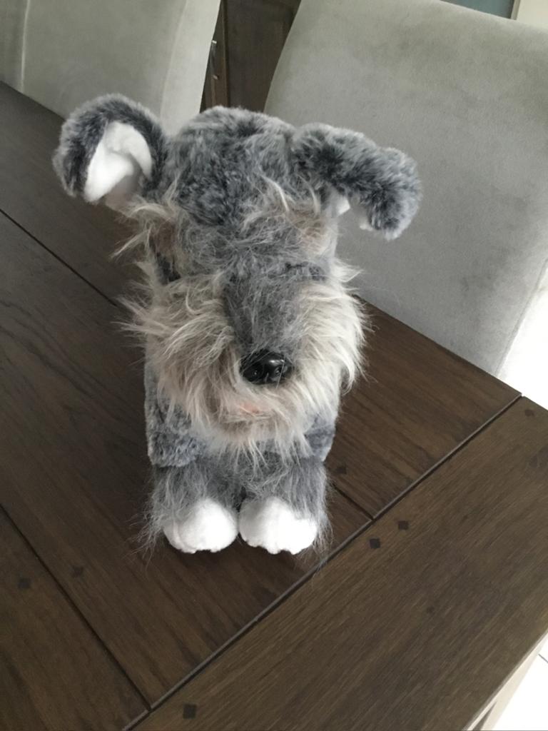 Le Mieux puppy Schnauzer Cooper NIEUW!, Ophalen of Verzenden, Nieuw, Hond