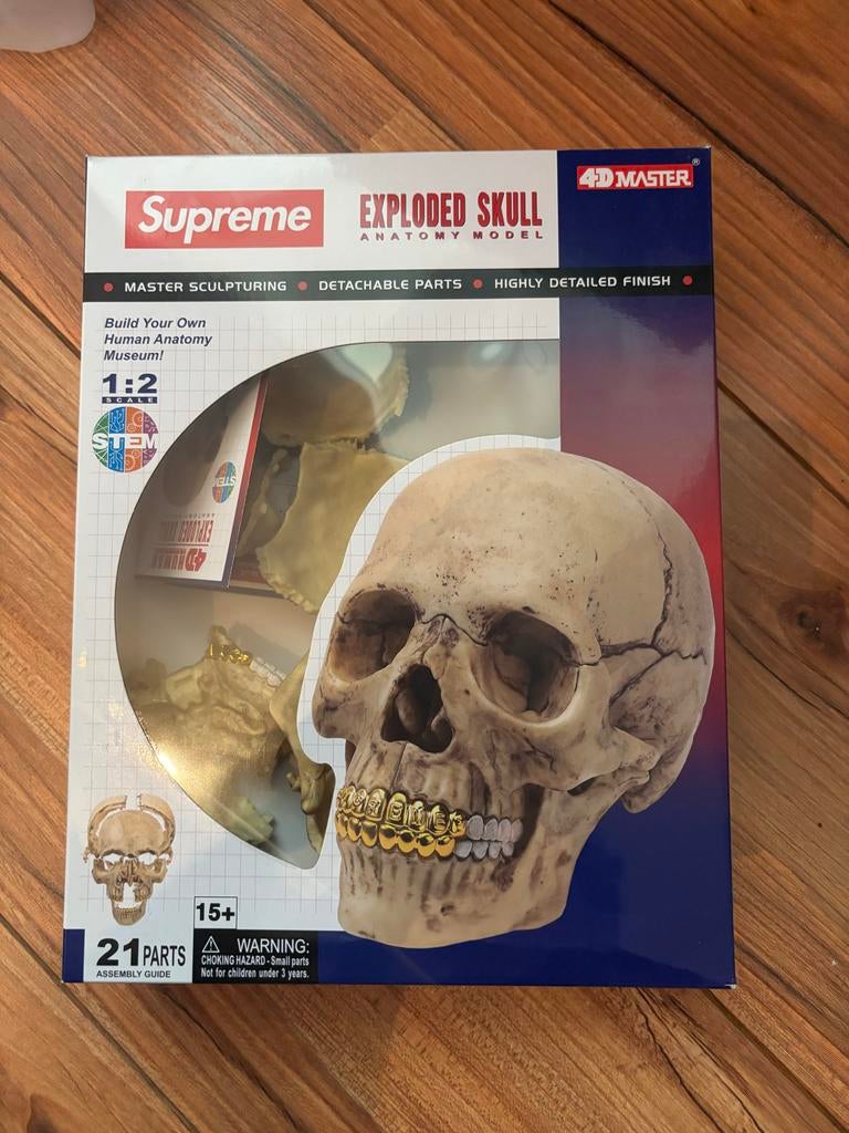 Supreme Exploded Skull Anatomie Model 4D Master, Overige thema's, Ophalen of Verzenden, Kunststof, Educatief