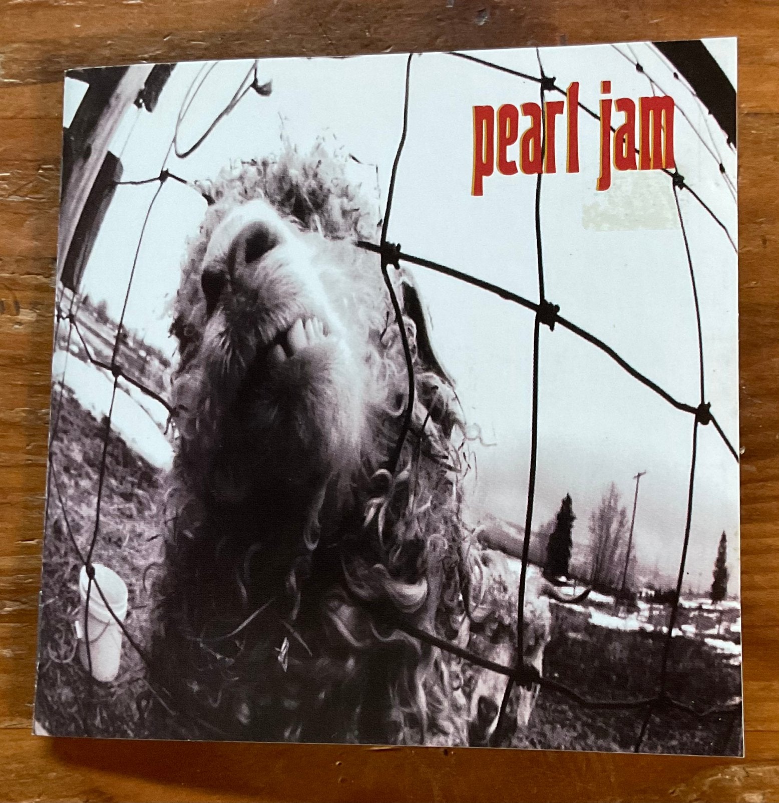 Pearl Jam - Vs (Seattle rock) cd, Ophalen of Verzenden, Zo goed als nieuw