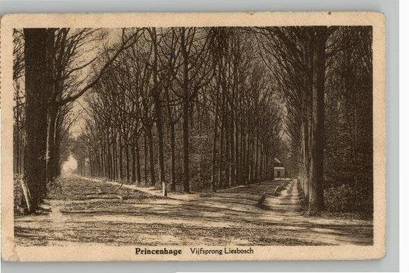 Princenhage bij Liebosch 3 mooie kaarten, Verzamelen, Ansichtkaarten | Nederland, Verzenden, 1920 tot 1940, Gelopen, Noord-Brabant