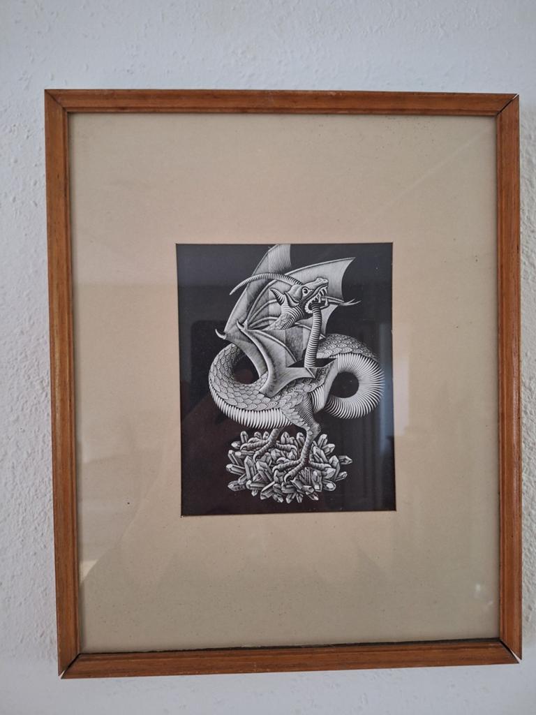M.C. Escher - Draak (1952) - houtgravure niet gesigneerd, Ingelijst, 1950 - 1999, Mythologie, Ophalen of Verzenden