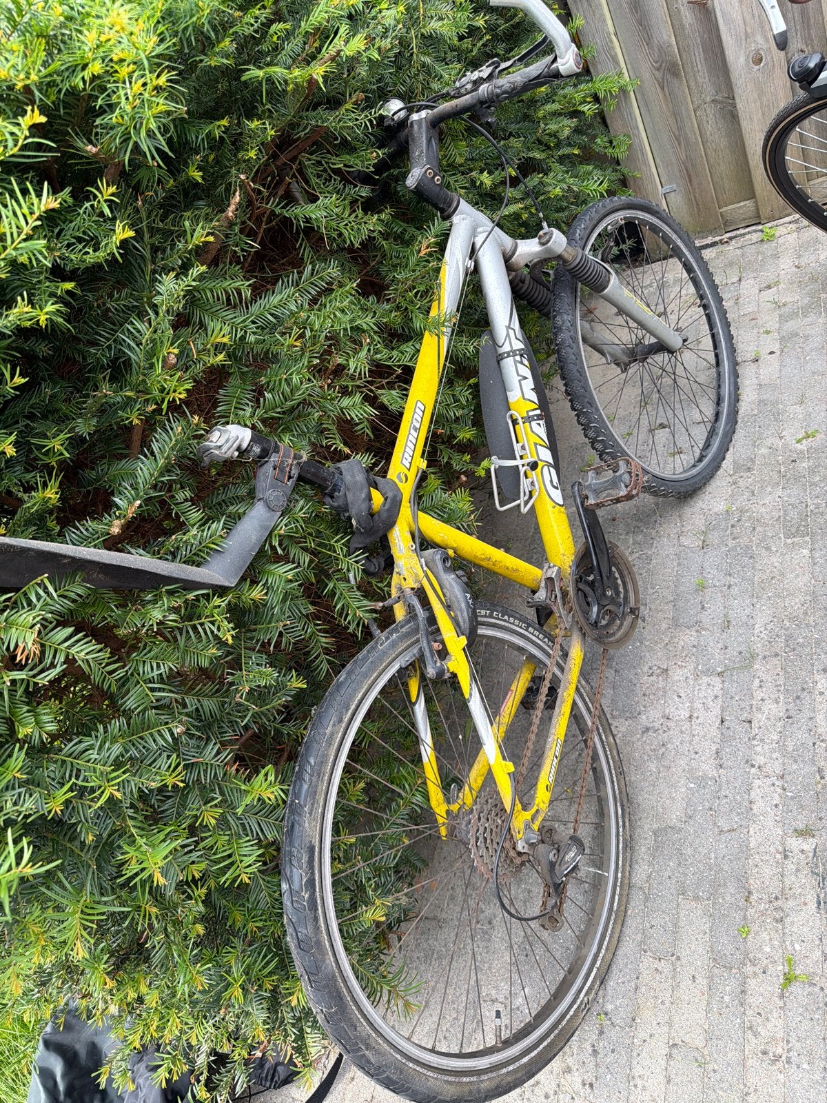 Mountainbike opknapper - zonder zadel, onder het stof, Gebruikt, Velgrem, Meer dan 20 versnellingen, 53 tot 57 cm