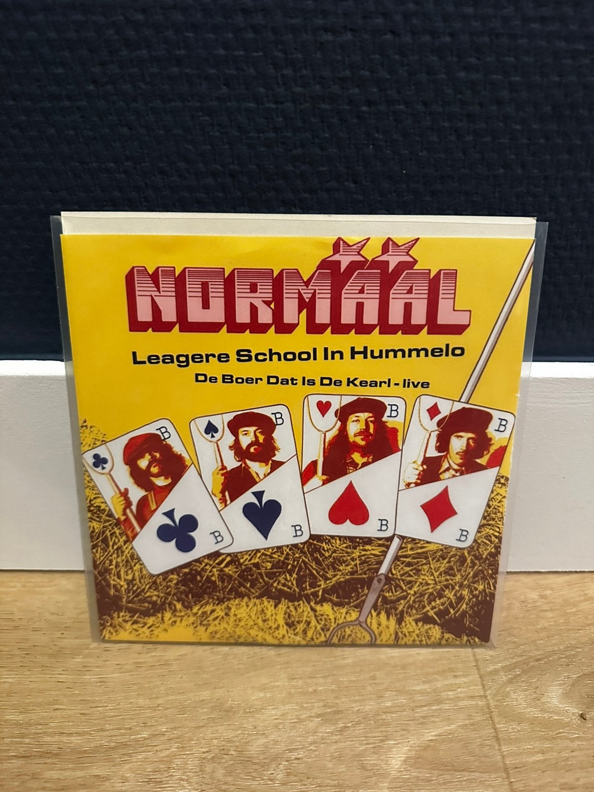 Normaal single, Cd's en Dvd's, Ophalen of Verzenden, Zo goed als nieuw, Nederlandstalig
