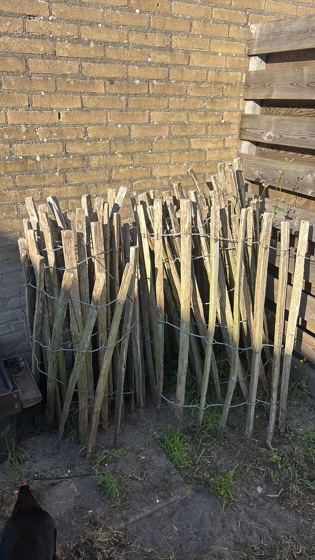 Schapenhek gebruikt, Ophalen of Verzenden, Gebruikt, Hout, Tuinhek