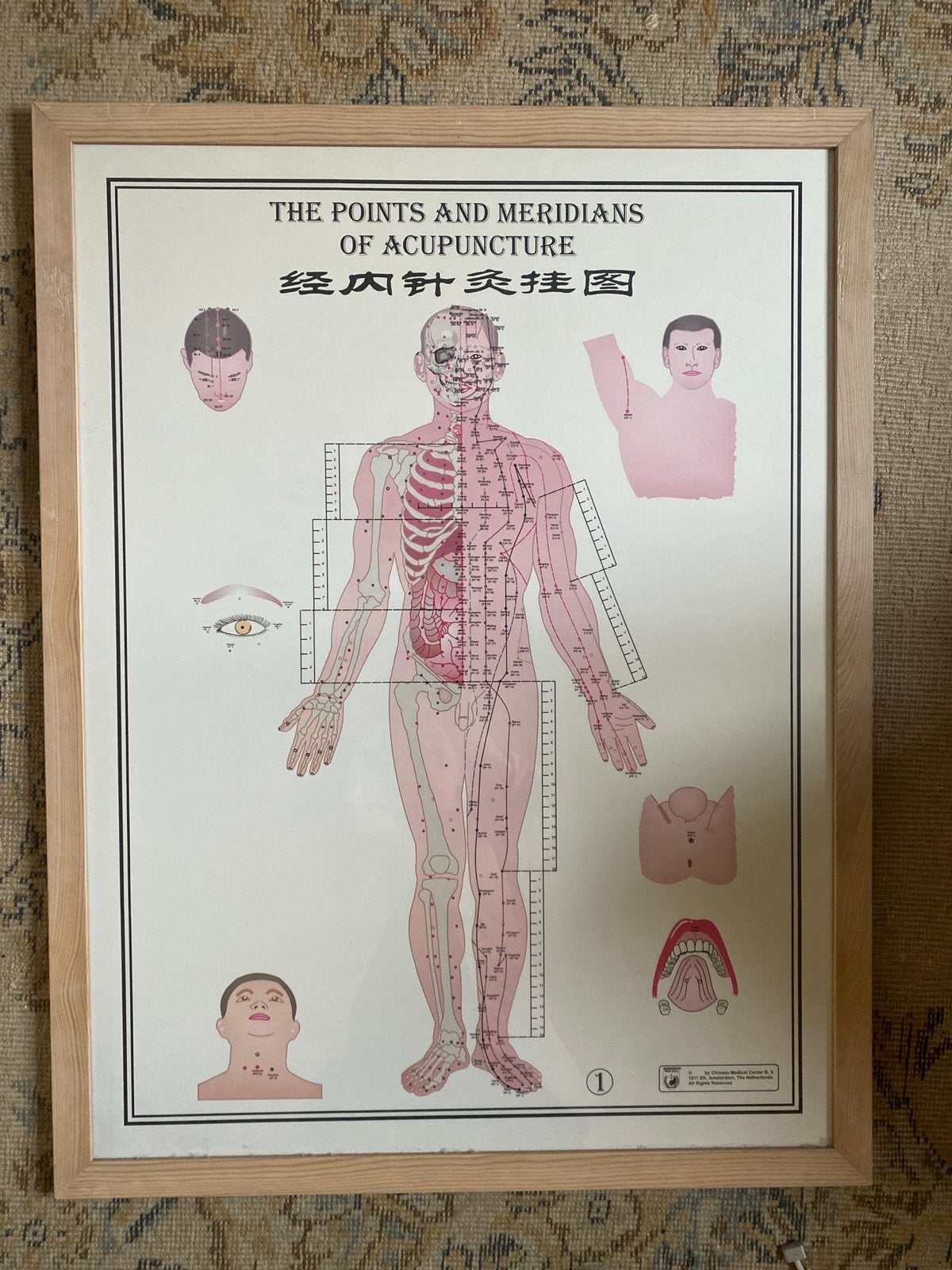 Acupunctuurpunten en Meridianen Poster in lijst, Ophalen of Verzenden, Zo goed als nieuw, Overige onderwerpen, Achtergrond en Informatie