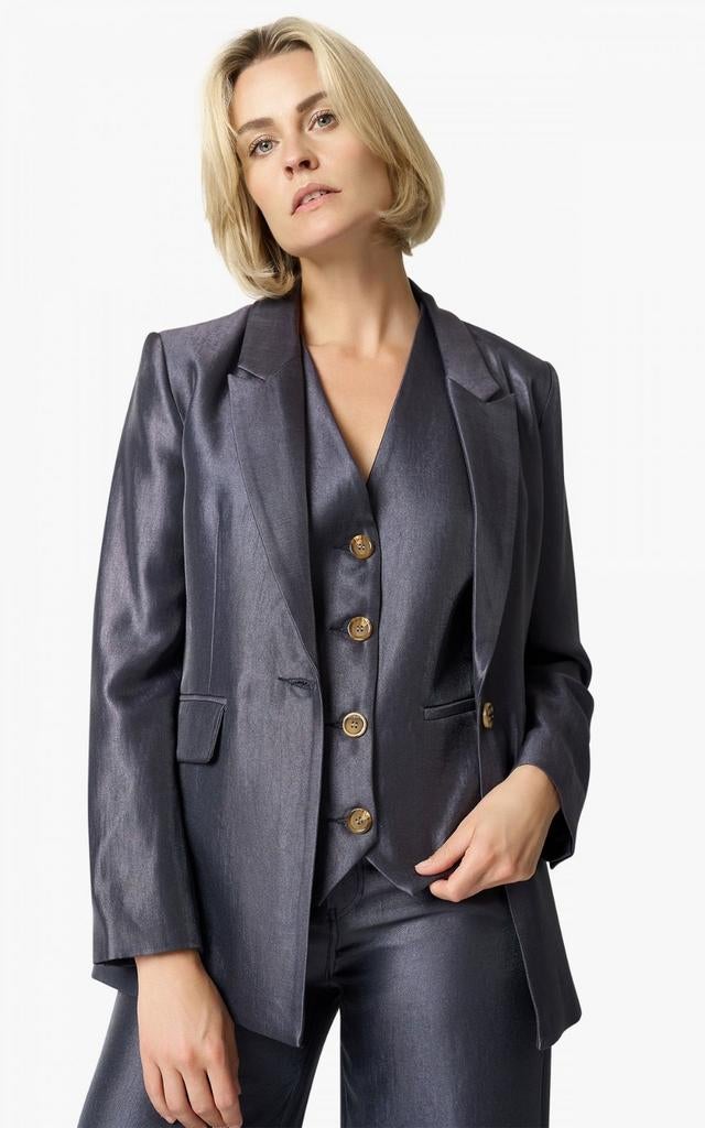 Aimée the label metallic blazer nieuw, Kleding | Dames, Aimée the label, Blauw, Nieuw, Ophalen of Verzenden