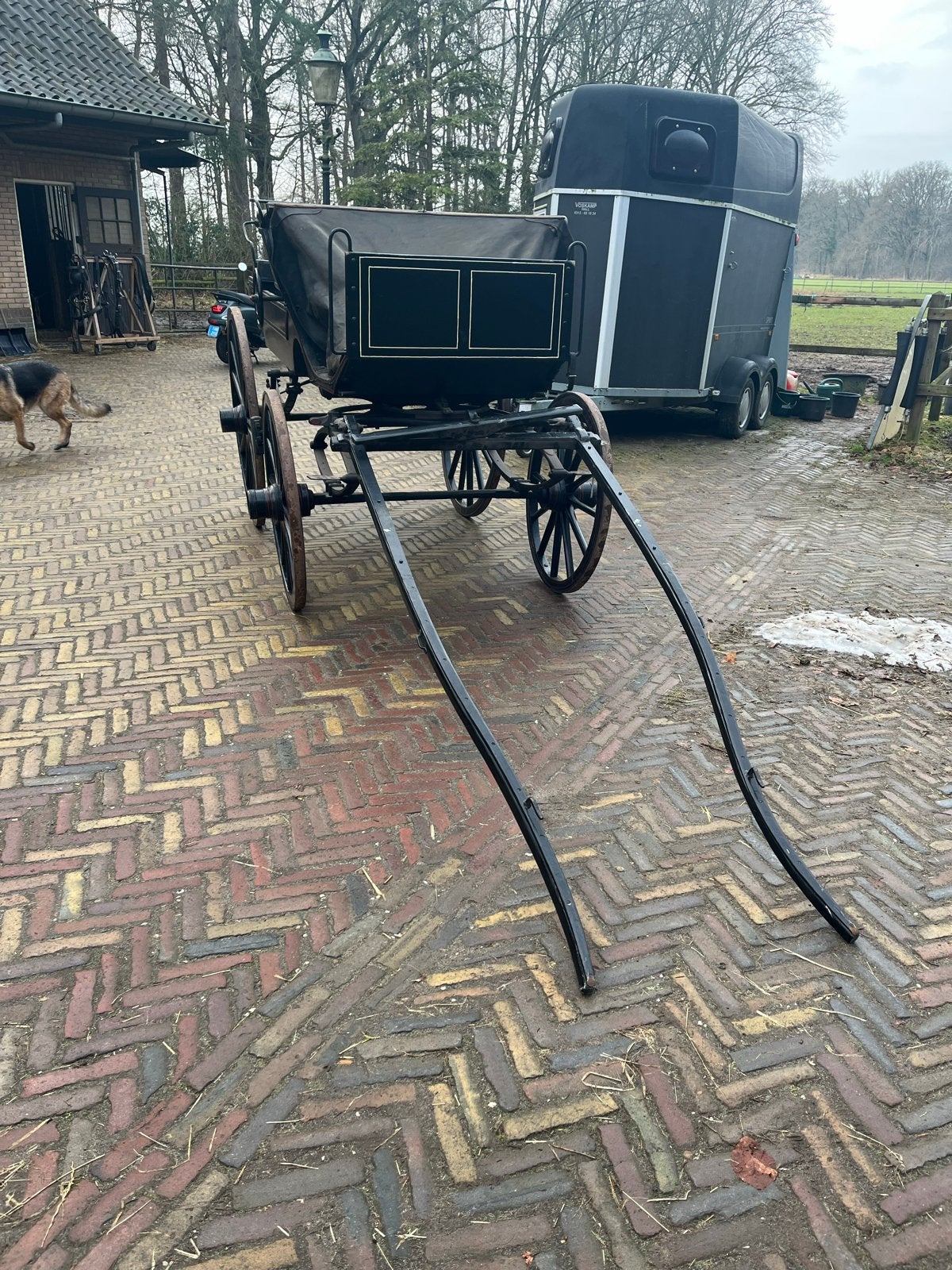 Rijtuig, Dieren en Toebehoren