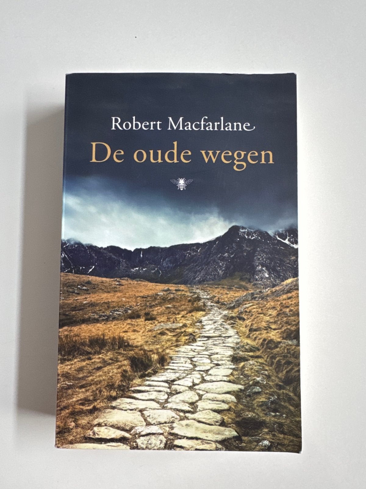 Robert Macfarlane - De oude wegen, Boeken, Wereld overig, Ophalen of Verzenden, Zo goed als nieuw, Robert Macfarlane