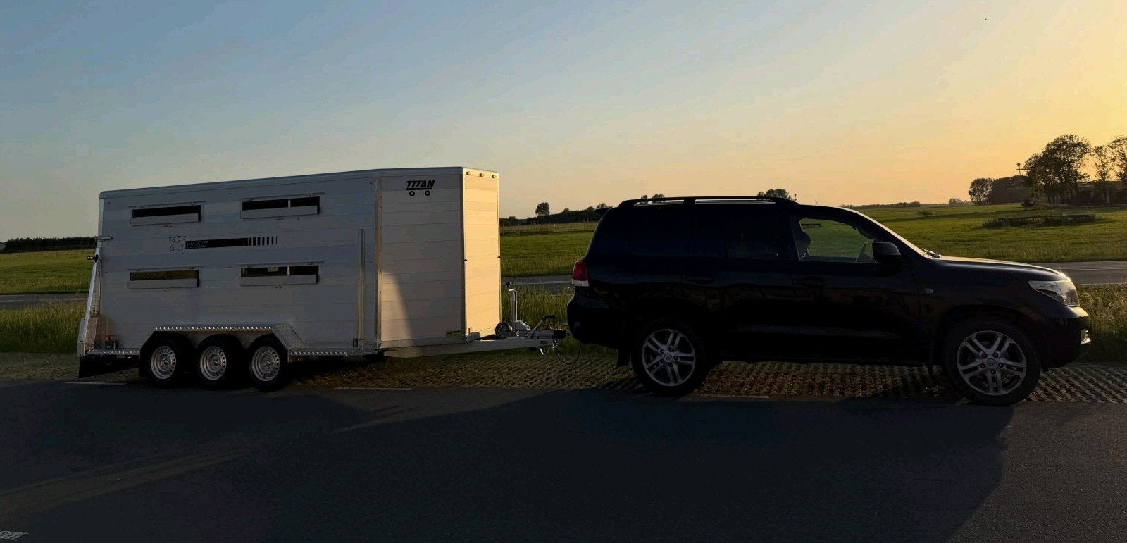 Veetaxi, Dieren en Toebehoren, Mannelijk, 11 jaar of ouder