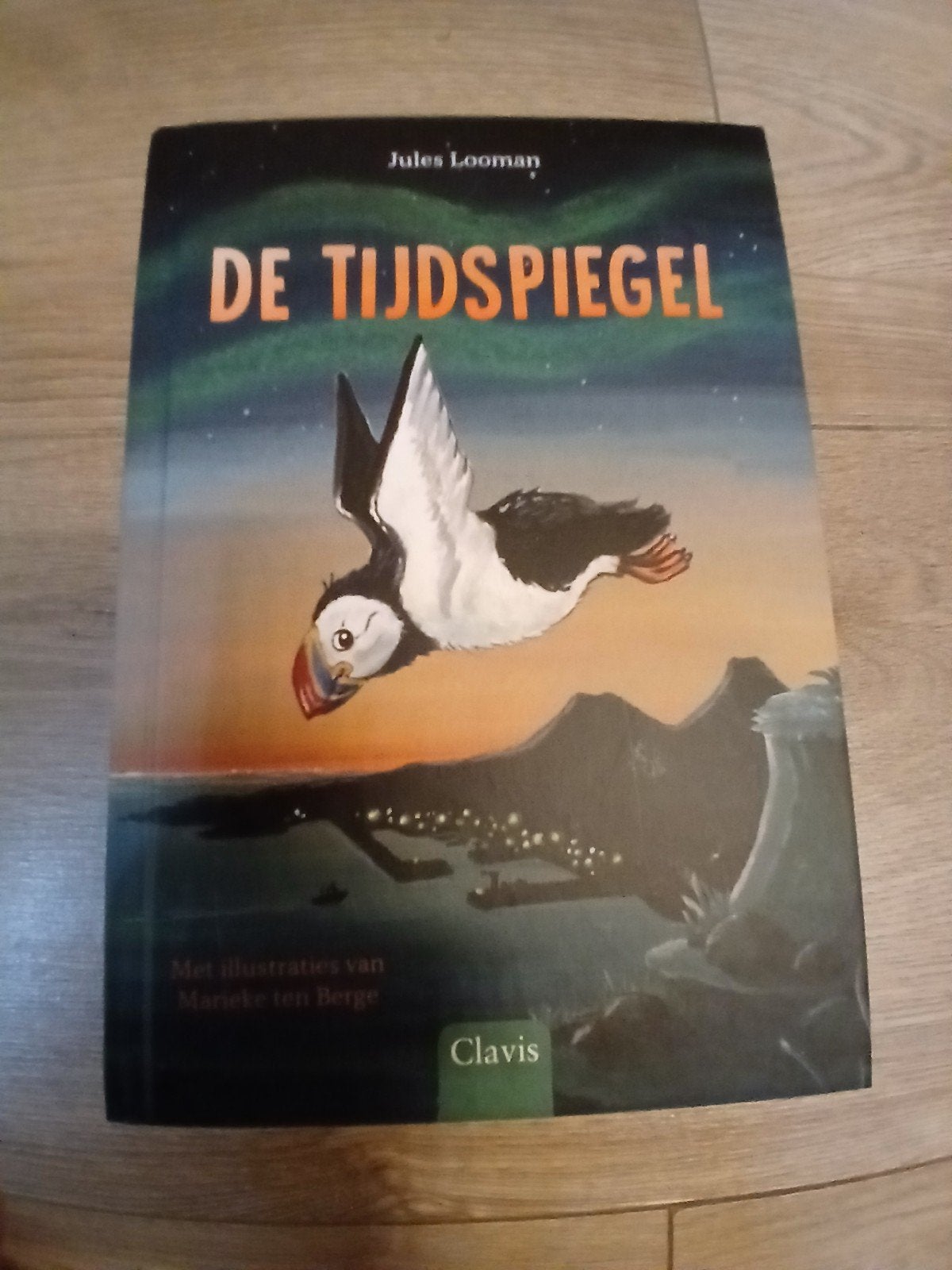 De Tijdspiegel - Jules Looman, Ophalen of Verzenden, Nieuw, Jules Looman