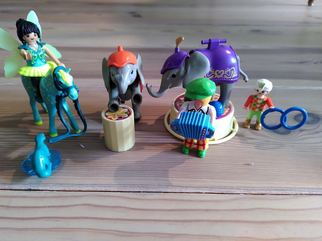 Playmobil Circus Set met Olifanten en Artiesten, Ophalen of Verzenden, Gebruikt, Complete set
