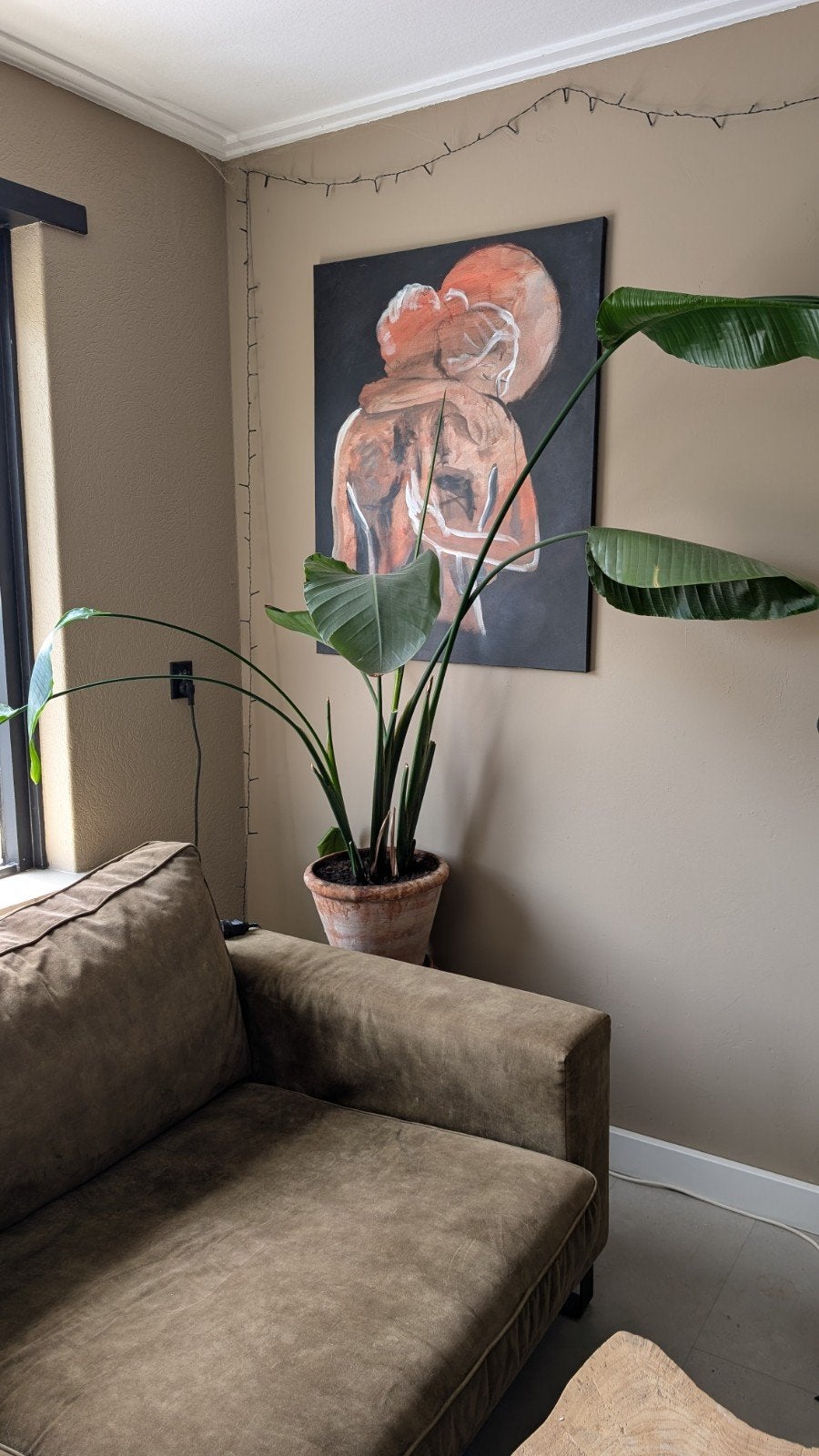Grote Strelitzia plant inclusief pot, Huis en Inrichting, Kamerplanten, Ophalen, 100 tot 150 cm, Overige soorten, In pot