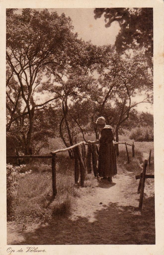 00078 Veluwe - Op de Veluwe, Verzenden, 1920 tot 1940, Ongelopen, Gelderland