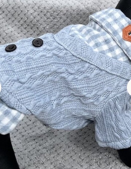 Schattig hondentruitje in lichtblauw, met stijlvolle kraag., Dieren en Toebehoren, Ophalen, Waterdicht, Hondentrui, Nieuw