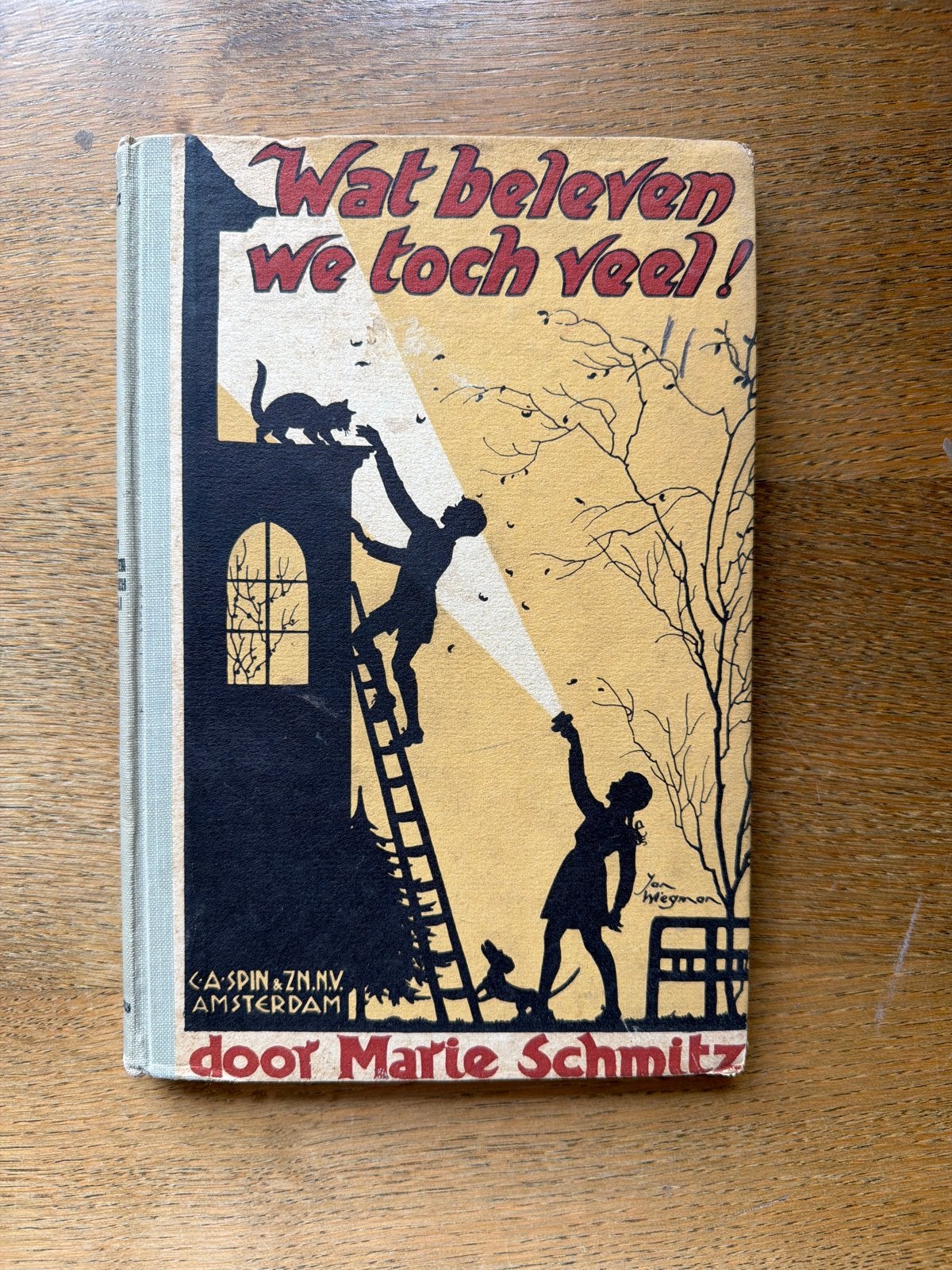 Wat beleven we toch veel! - Marie Schmitz (1945), Boeken, Ophalen of Verzenden, Gelezen, Fictie algemeen